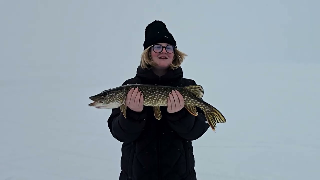 Gull Lake Alberta Jan, 2, 2026