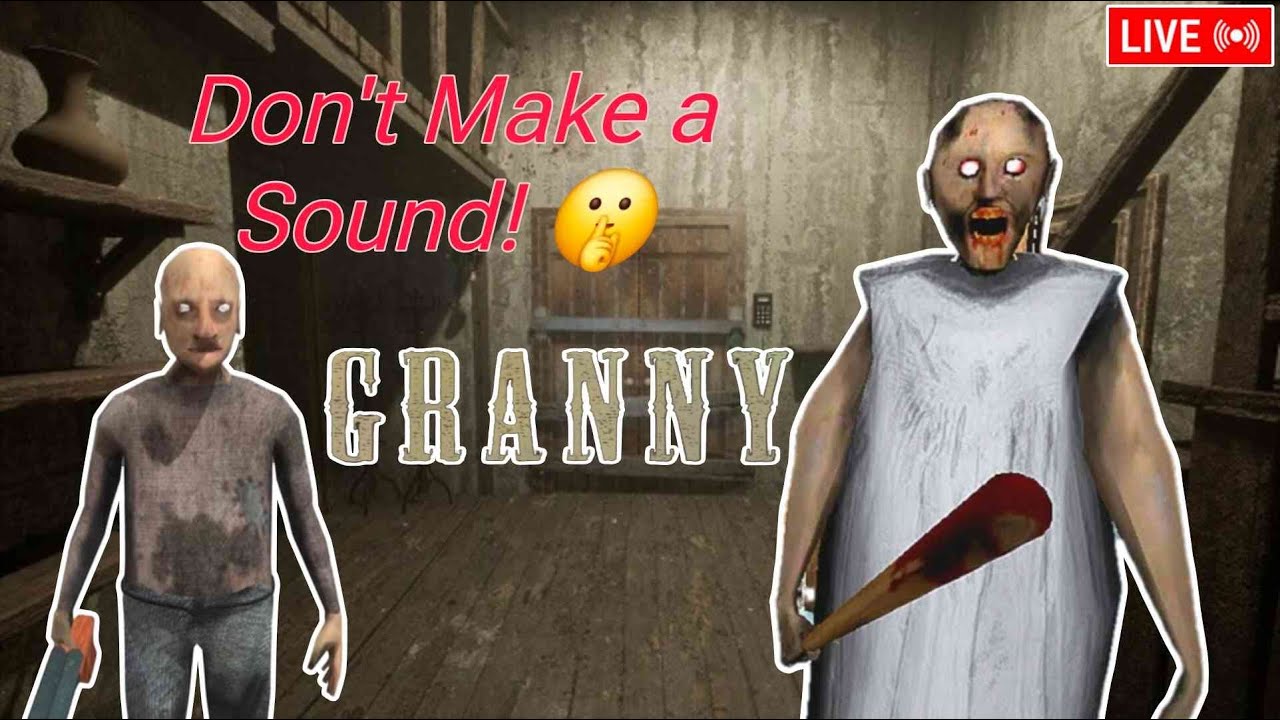 Hide & Seek with Granny Gone Wrong!