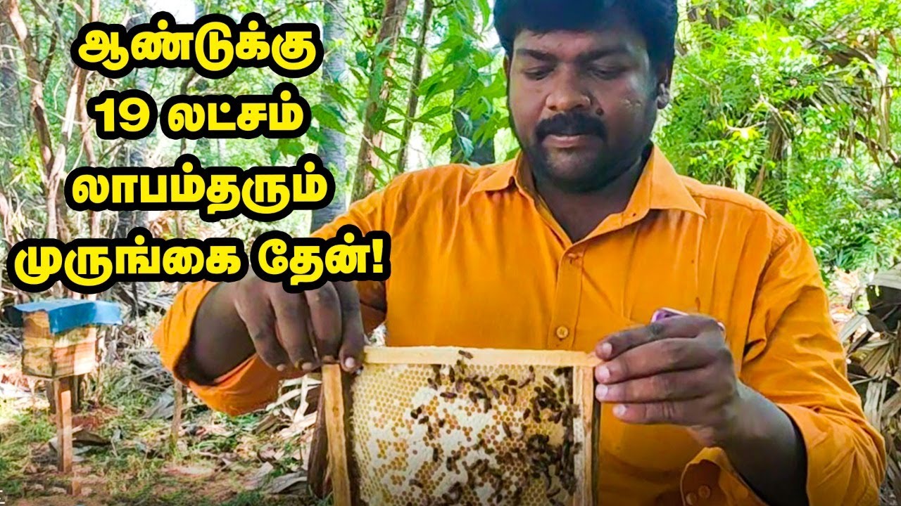 Honey Manufacturing Farm & Tips | Business Tricks & Safety Measures | Bees