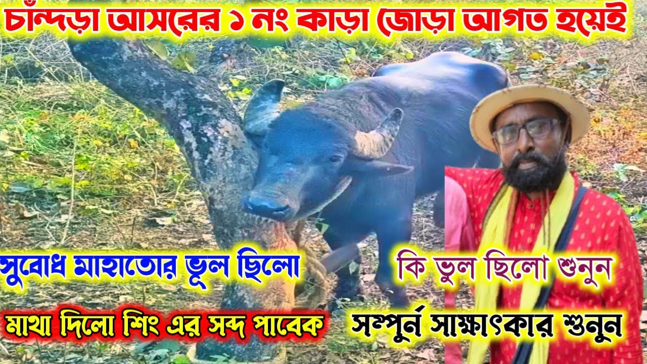 চাঁন্দড়া আসরের ১ নং কাড়া আগত হয়ে গেল। সুবোধ মাহাতোর কি ভূল ছিলো শুনুন সাক্ষাৎকার।
