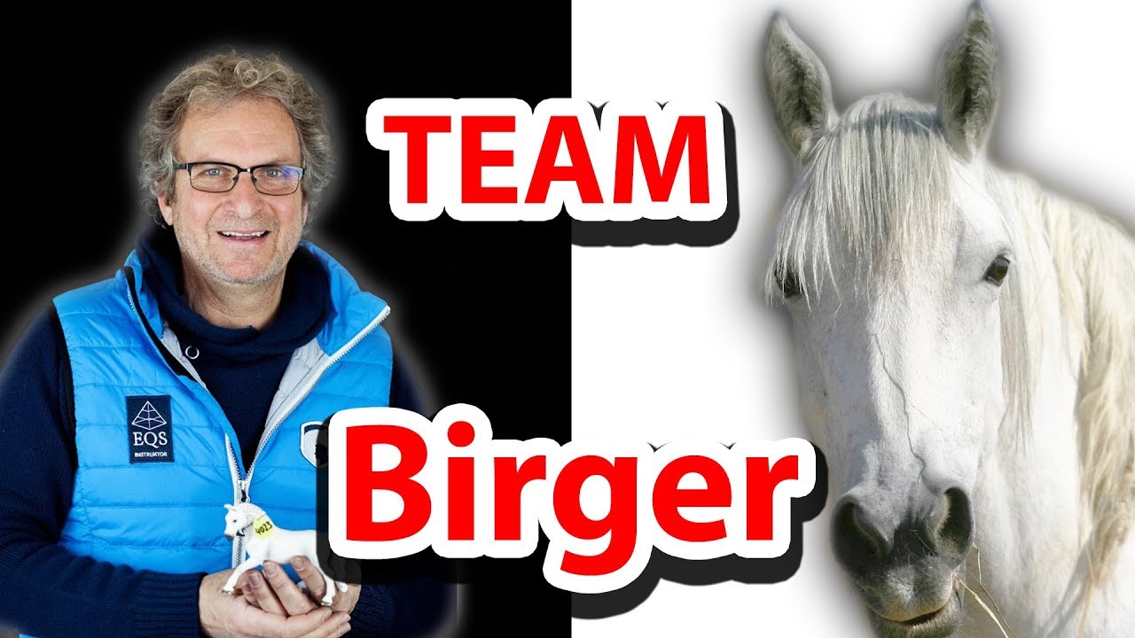 ► BIRGER ist zurück! Mustang Makeover 2018