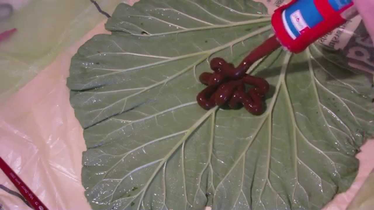 Baumarkt Silikonform  von einem Rhabarber Blatt - Negativform