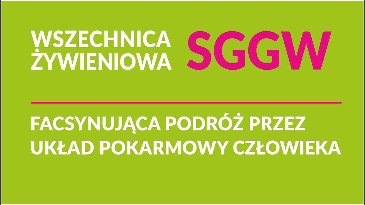 Fascynująca podróż przez układ pokarmowy człowieka