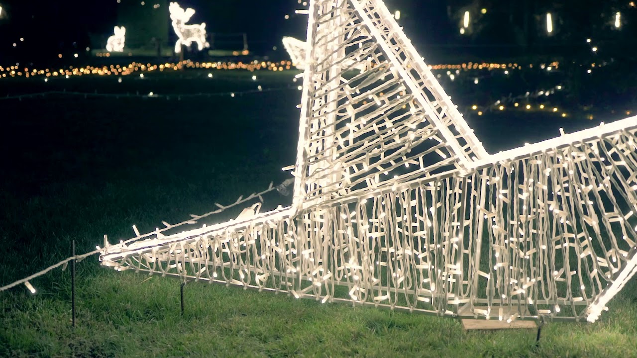 Natale 2021. I Giardini di Luce a Palazzo Estense - Varese