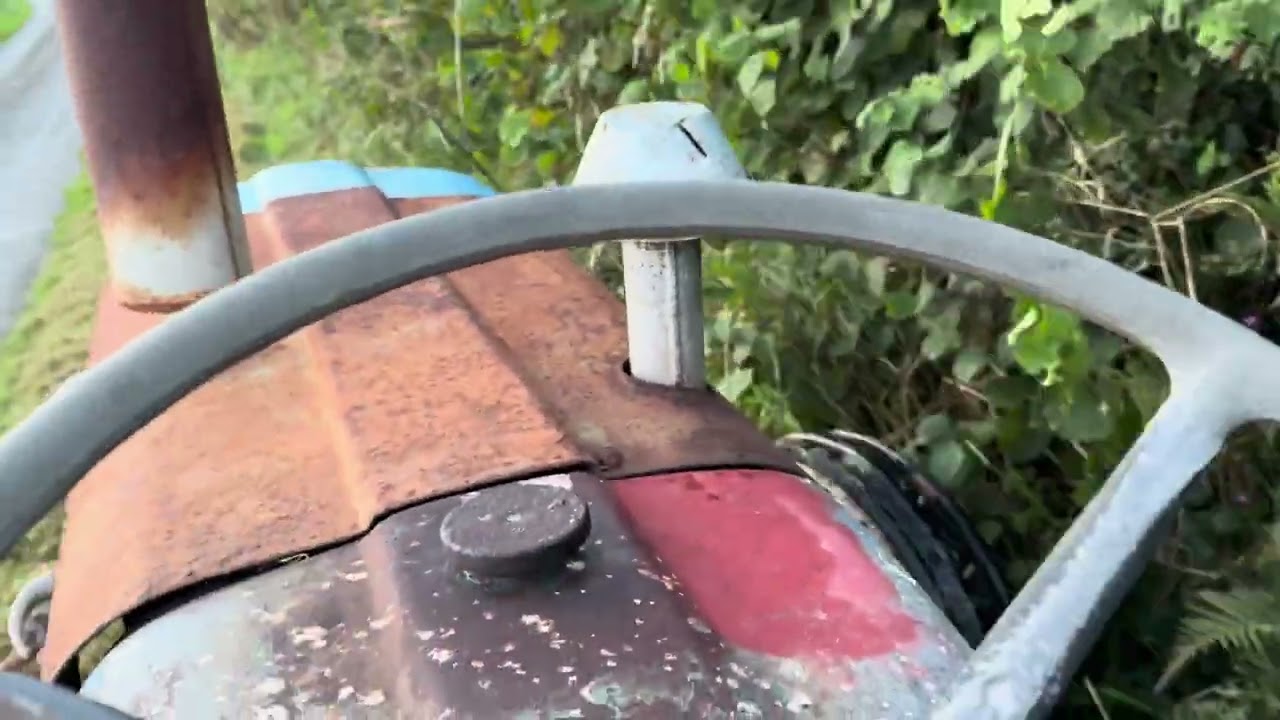 1958 Fordson Dexta - Flail topping 