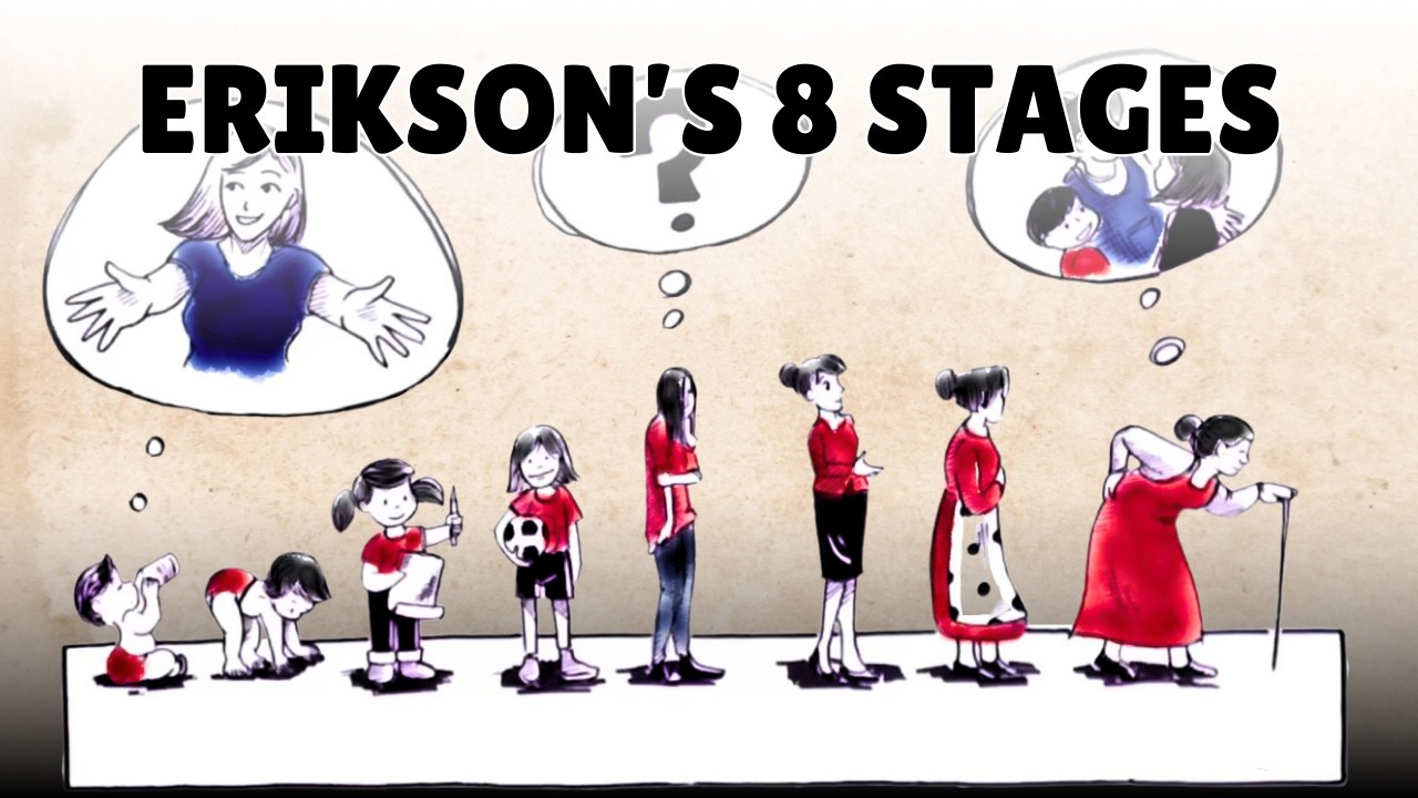 8 этапов развития Эрик Эриксон