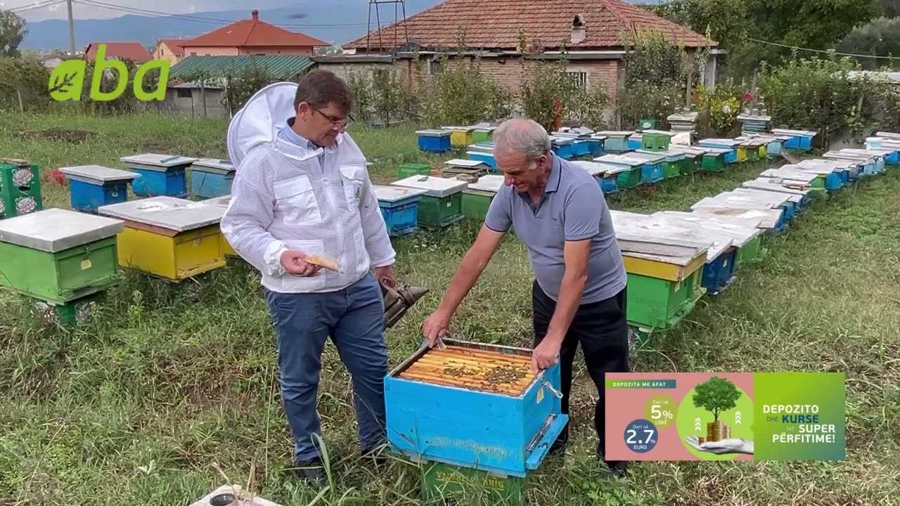 Përgatitja e rezervave dimërore dhe Kontrolli i nozematozës