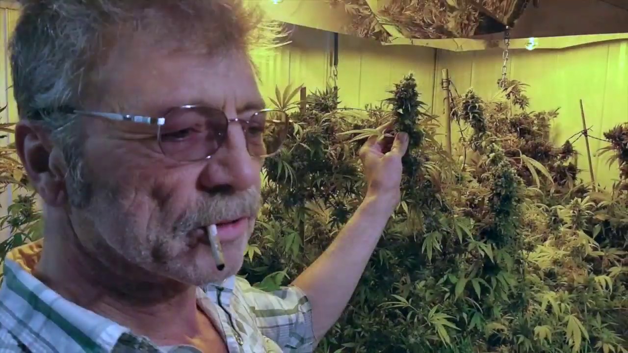 Medxtractor CO2-based cannabis oil extraction Demo