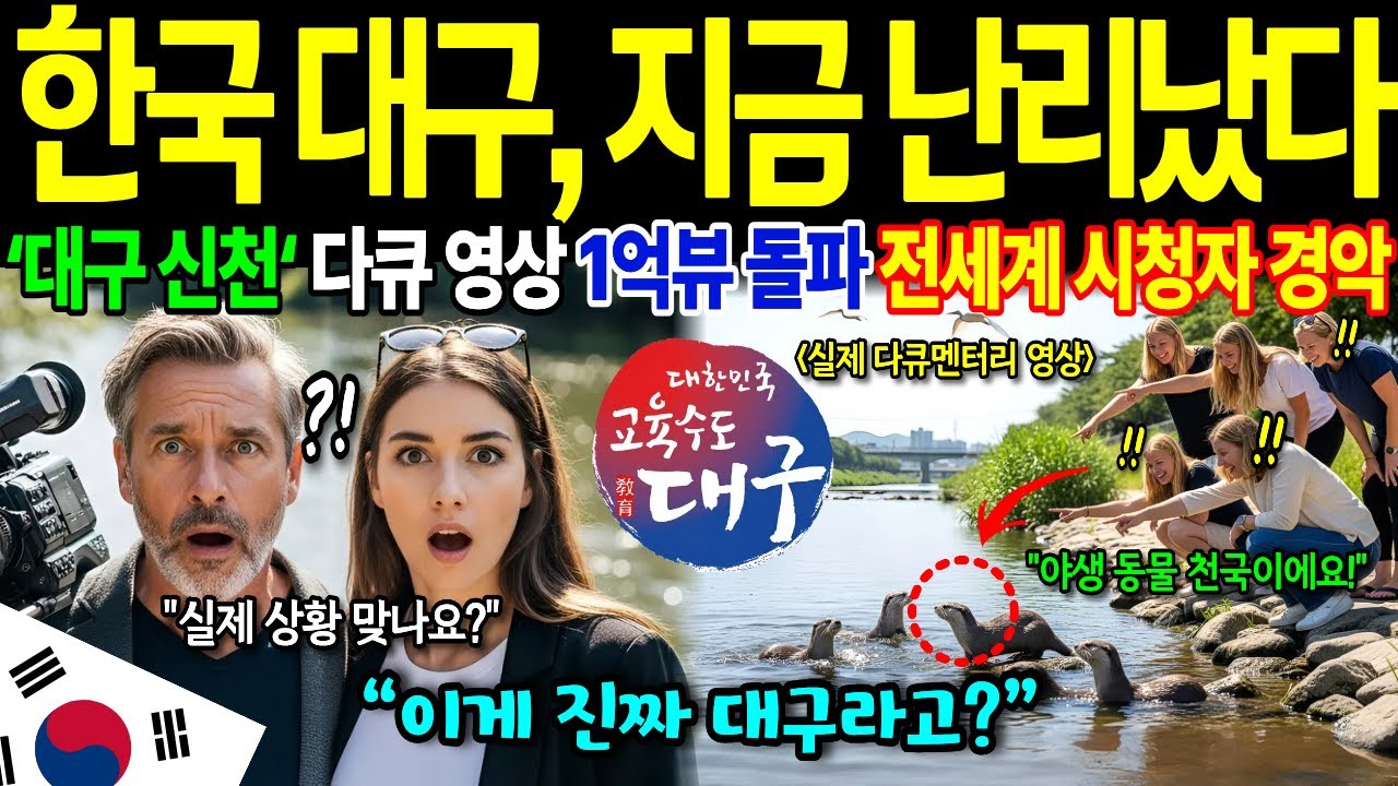 [해외감동사연] 한국 '대구' 신천 영상 1억뷰 폭발! 전세계 난리난 다큐멘터리에 발칵