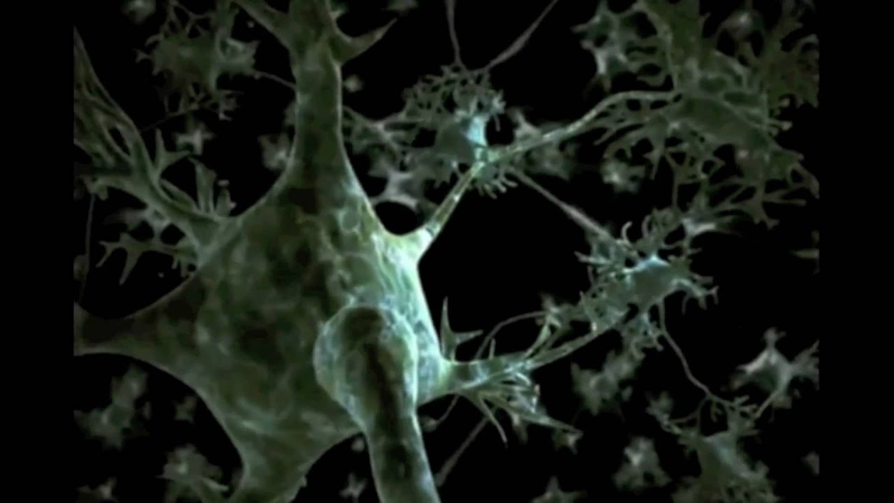 The Science of Electroanalgesia - NeuroMed - MATRIX System