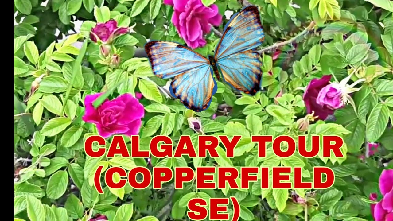 CALGARY TOUR | COPPERFIELD SE | World Places and Events
