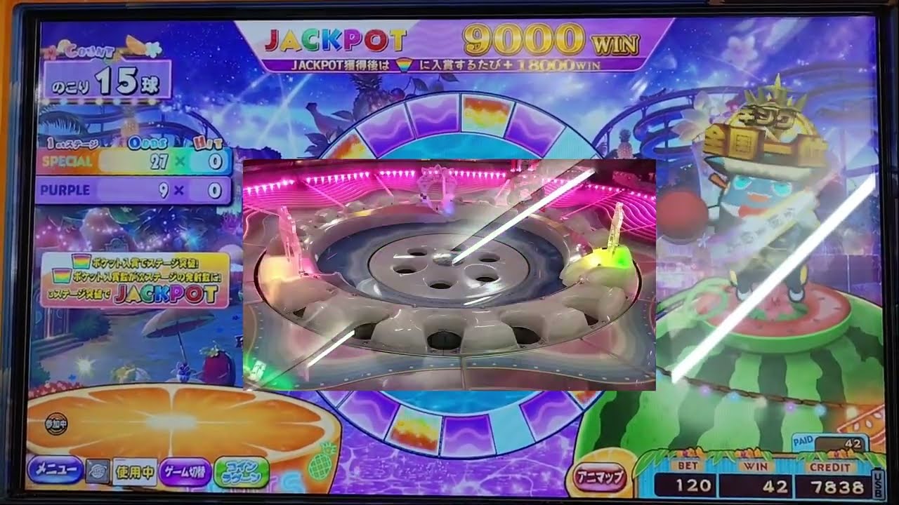 【カラコロッタ トロピカルリゾート】アメジスト9000～JPC