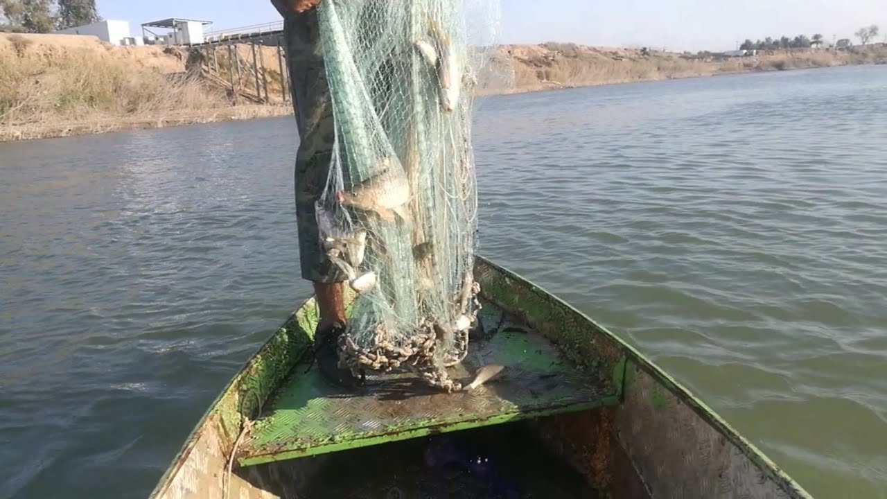 صيد روعة معدل #سلية وسط بداية موسم يخبل