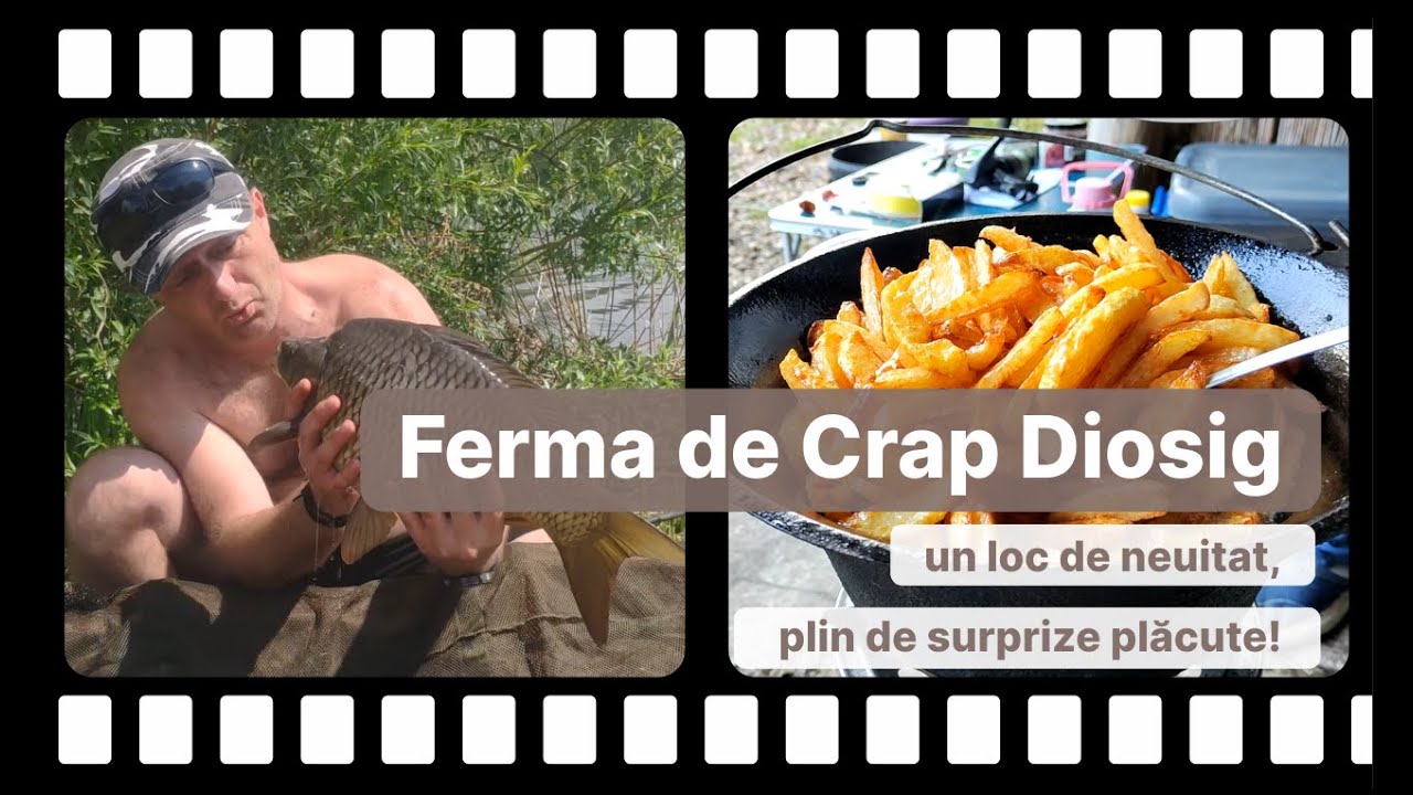 Niste Baieti merg la pescuit pe Ferma de Crap Diosig