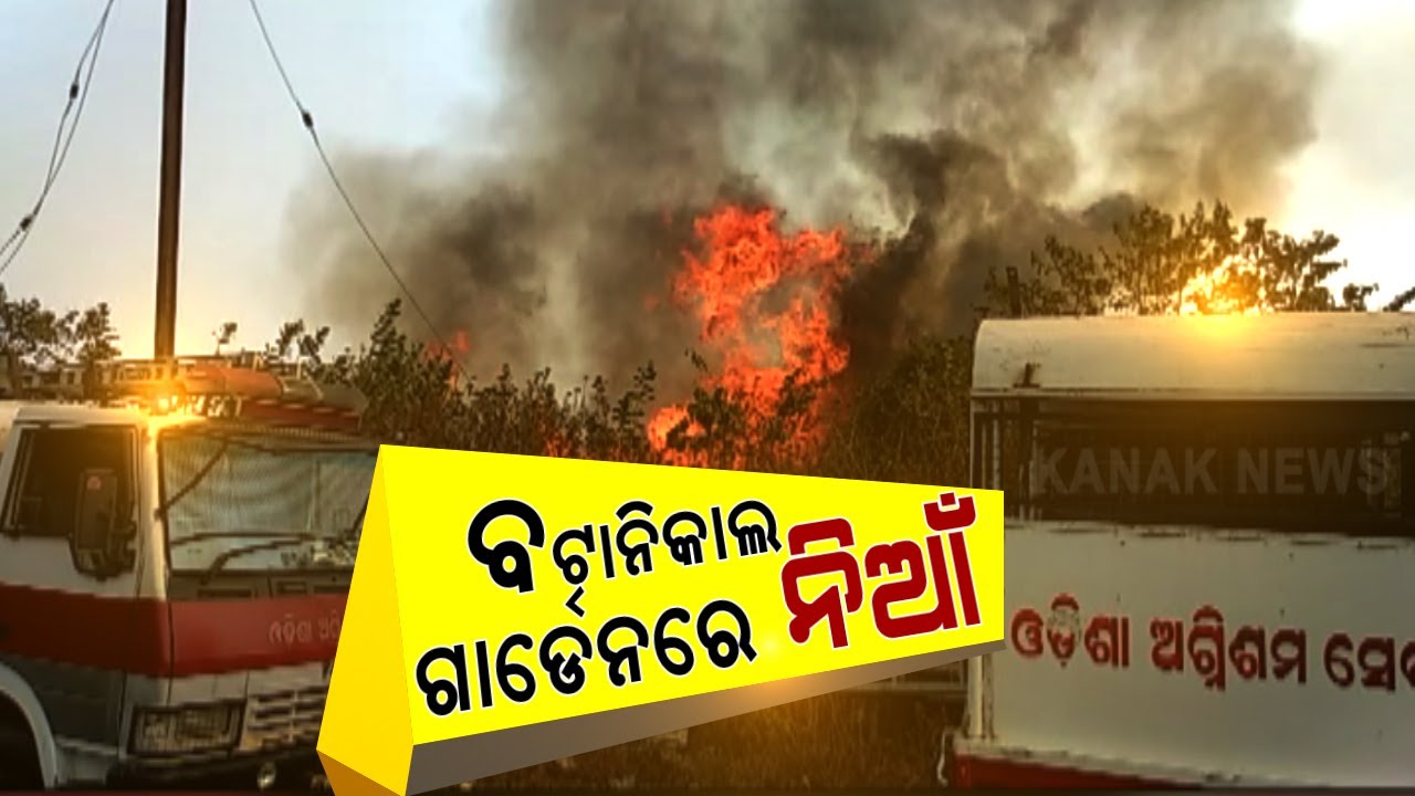 Fire Breaks Out At Botanical Garden In Odisha Capital