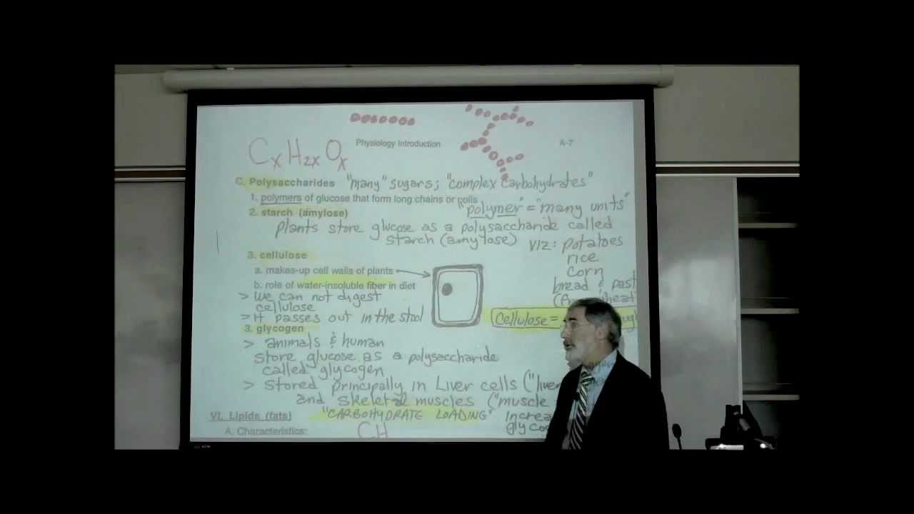 CARBOHYDRATES & LIPIDS by Professor Fink