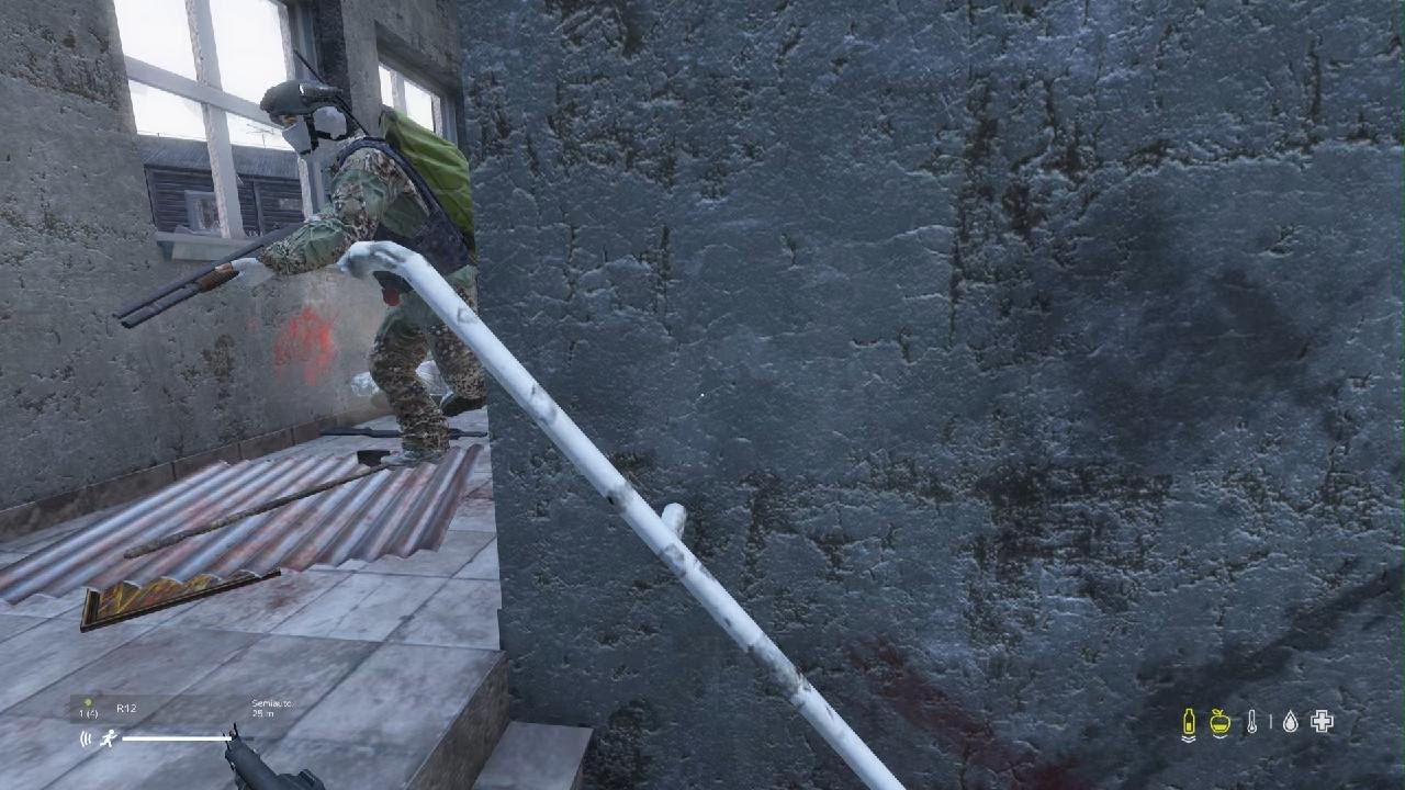 DayZ