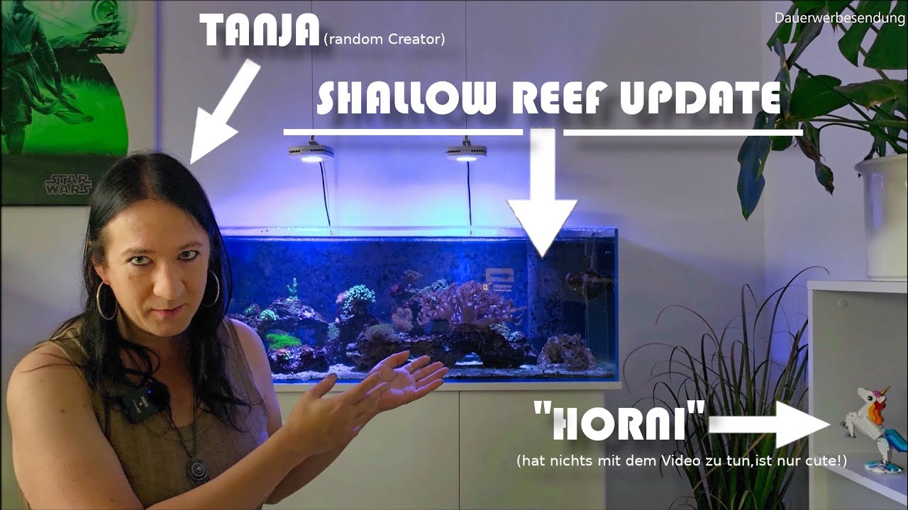 Das wird aus meinem Meerwasseraquarium! | NordicMoor| [09/2023]