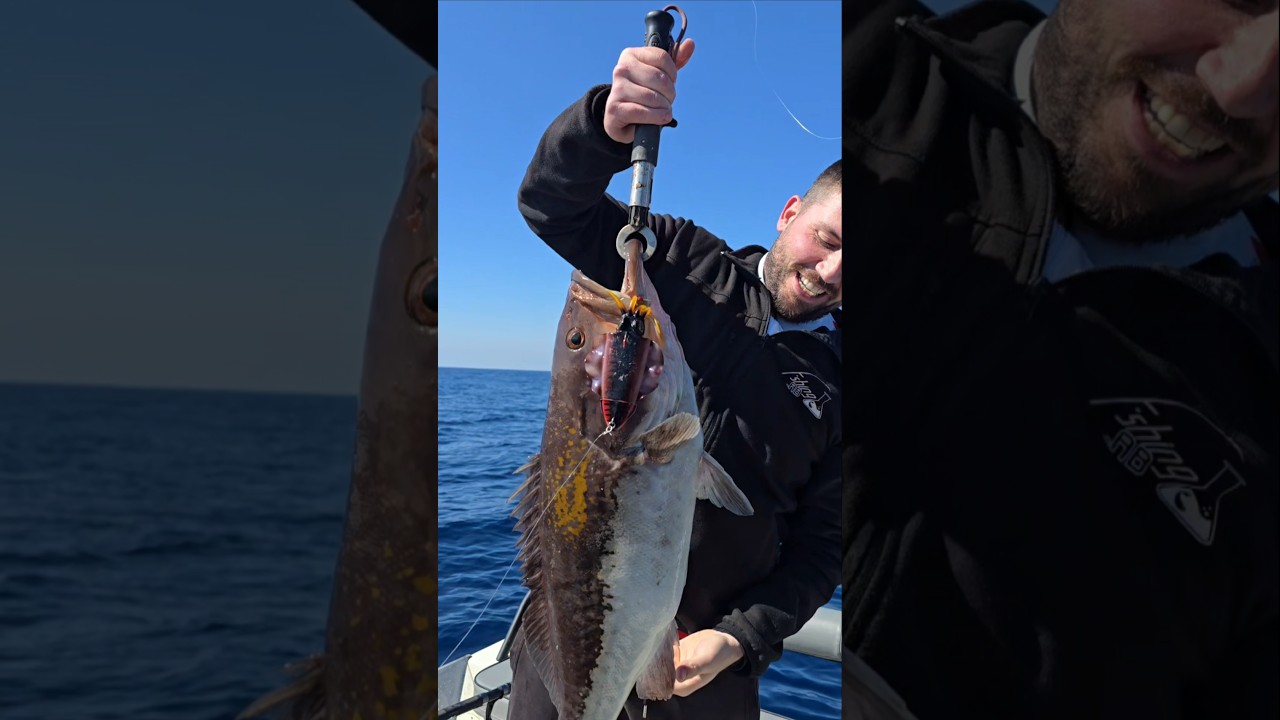 Old time classic JLC xoco 120gr! #fishing #fishingvideos #grouper