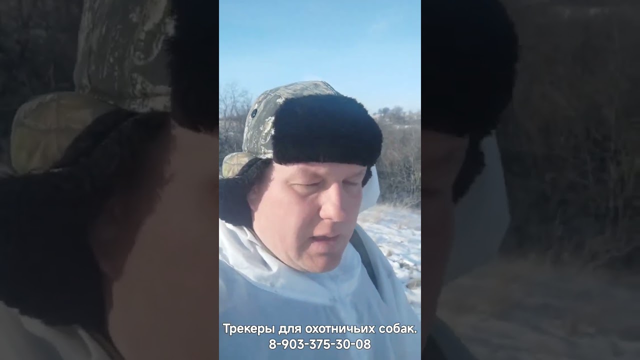 Шорт...