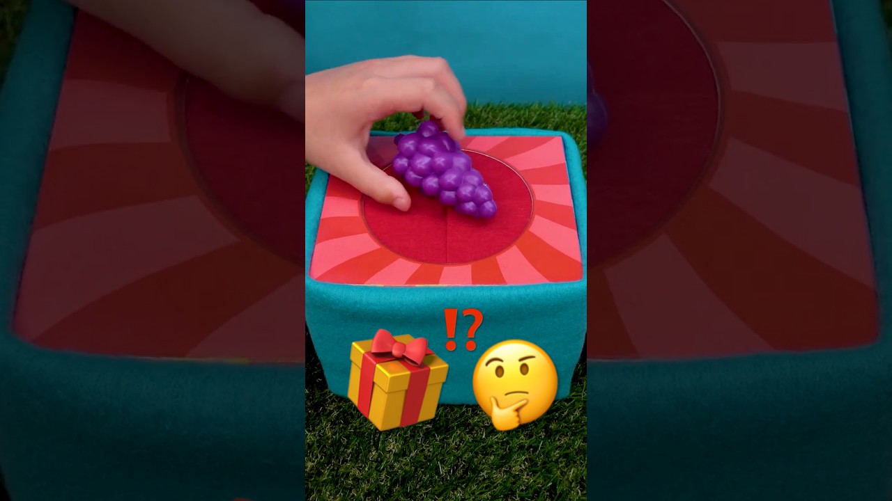 What's in the Mystery Box?! 🤔🎁