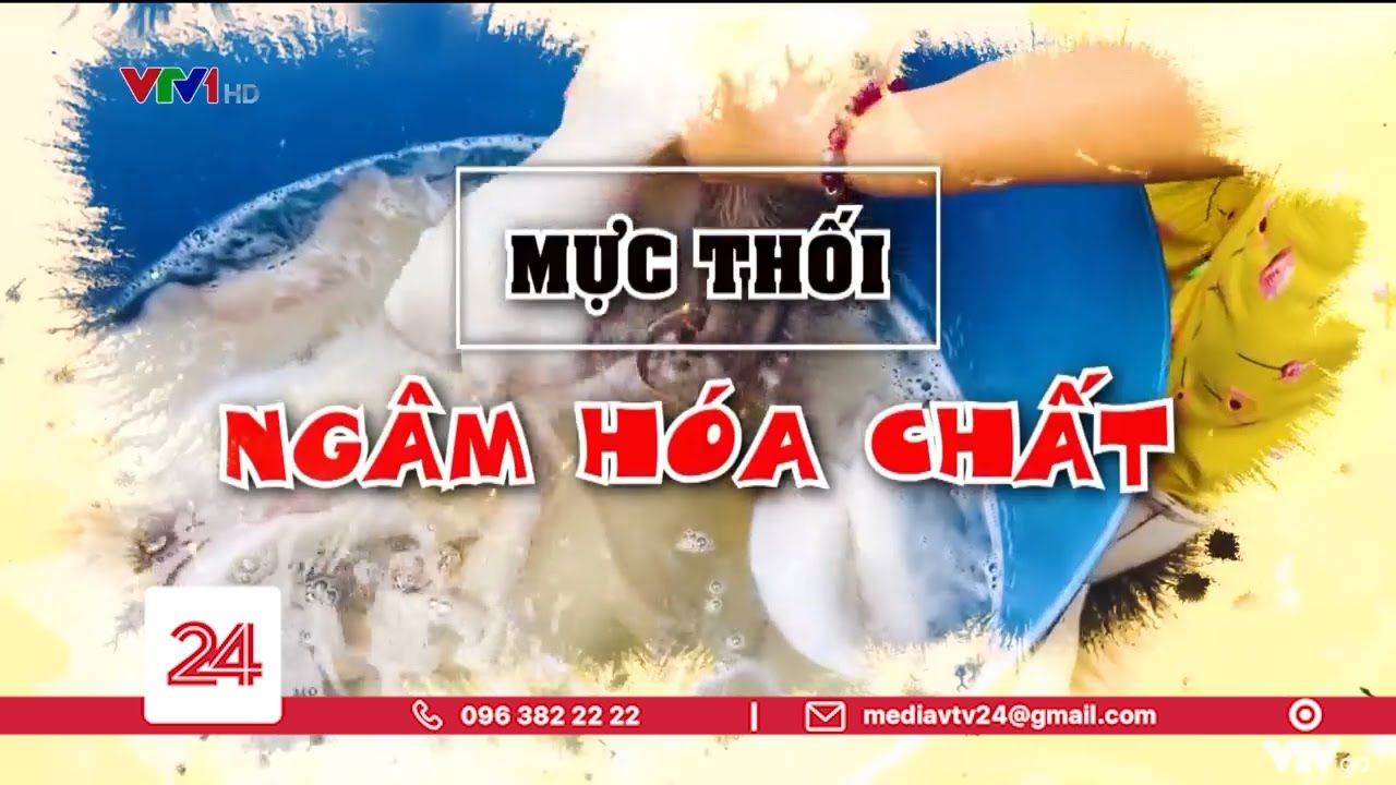 Tiêu Điểm: Mực thối ngâm hóa chất | VTV24