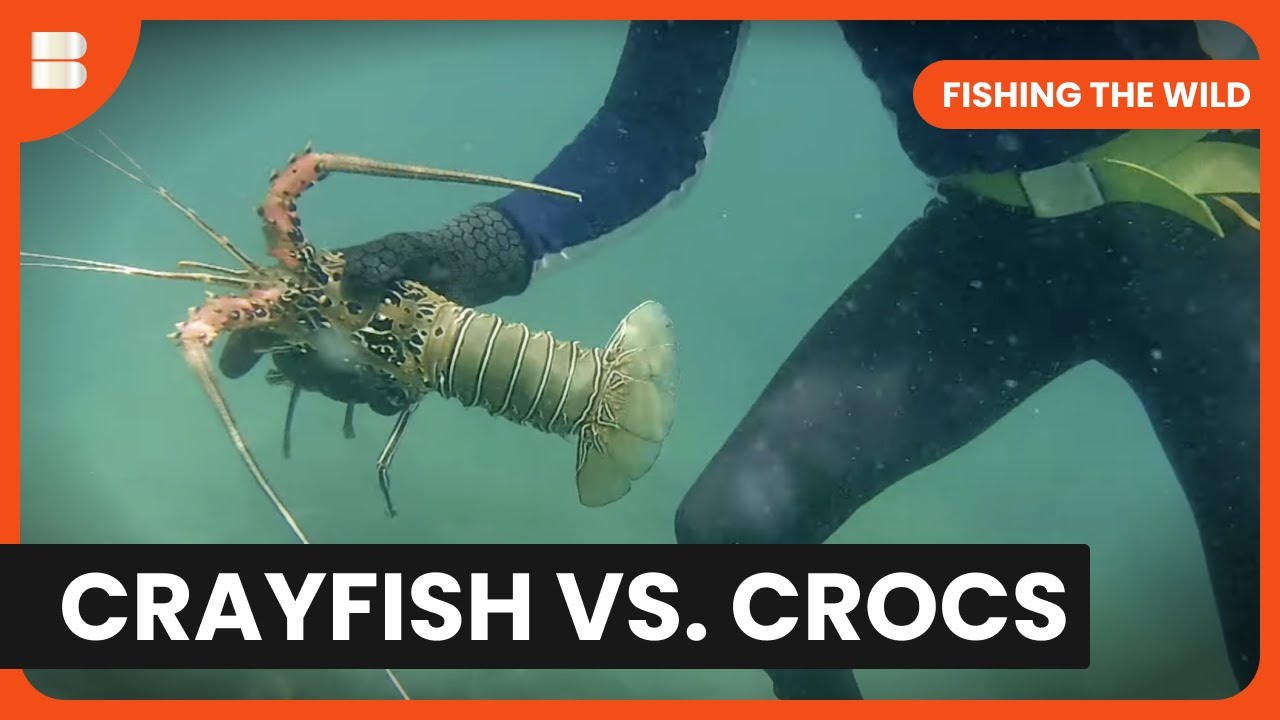 Croc Country Fishing - Fishing The Wild - S01 EP03 - Nature Documentary