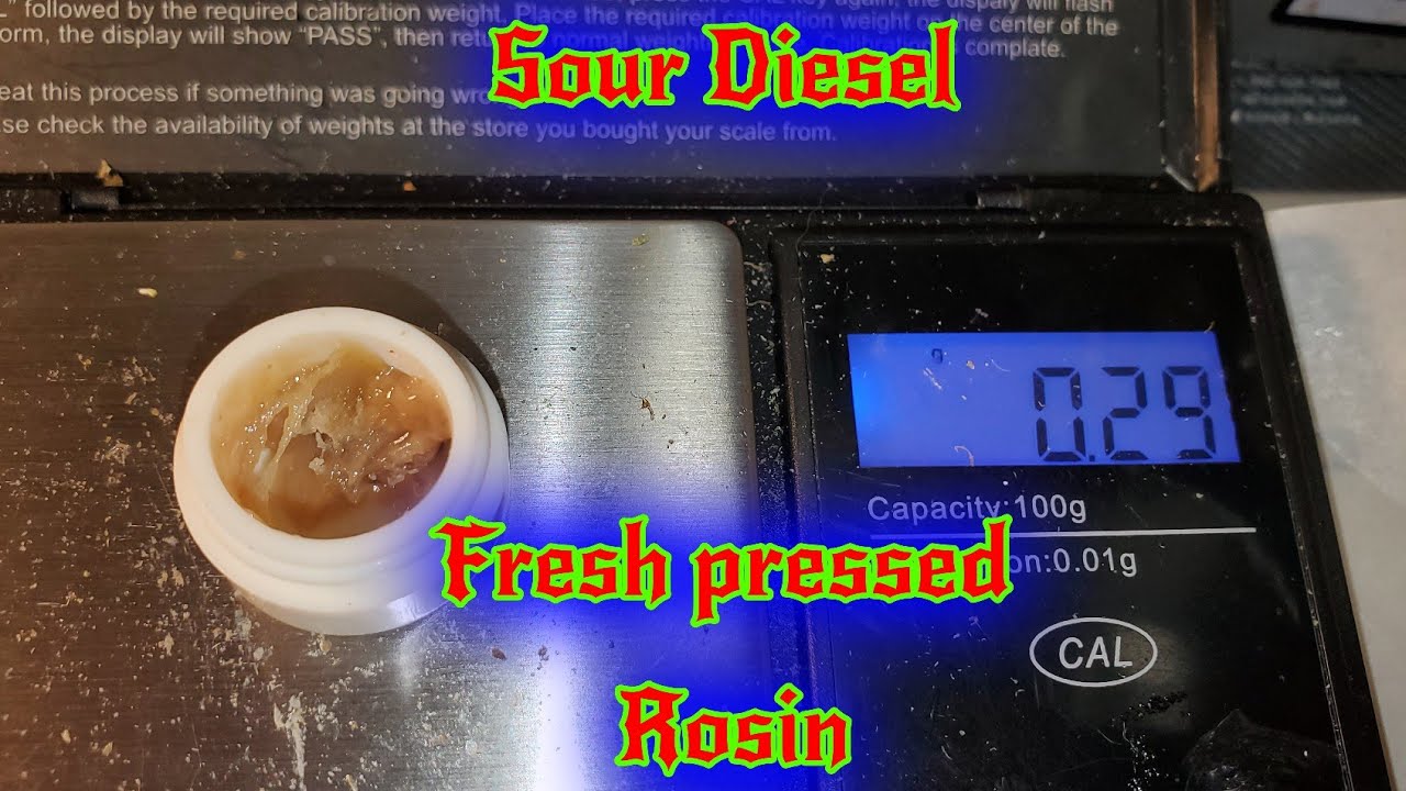 Gleaf's Sour Diesel  Flower into fresh  pressed Rosin. MD MEDICAL CANNABIS REVIEWS