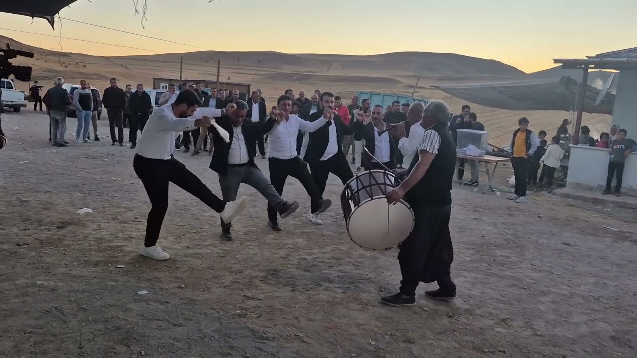 Paso halayı