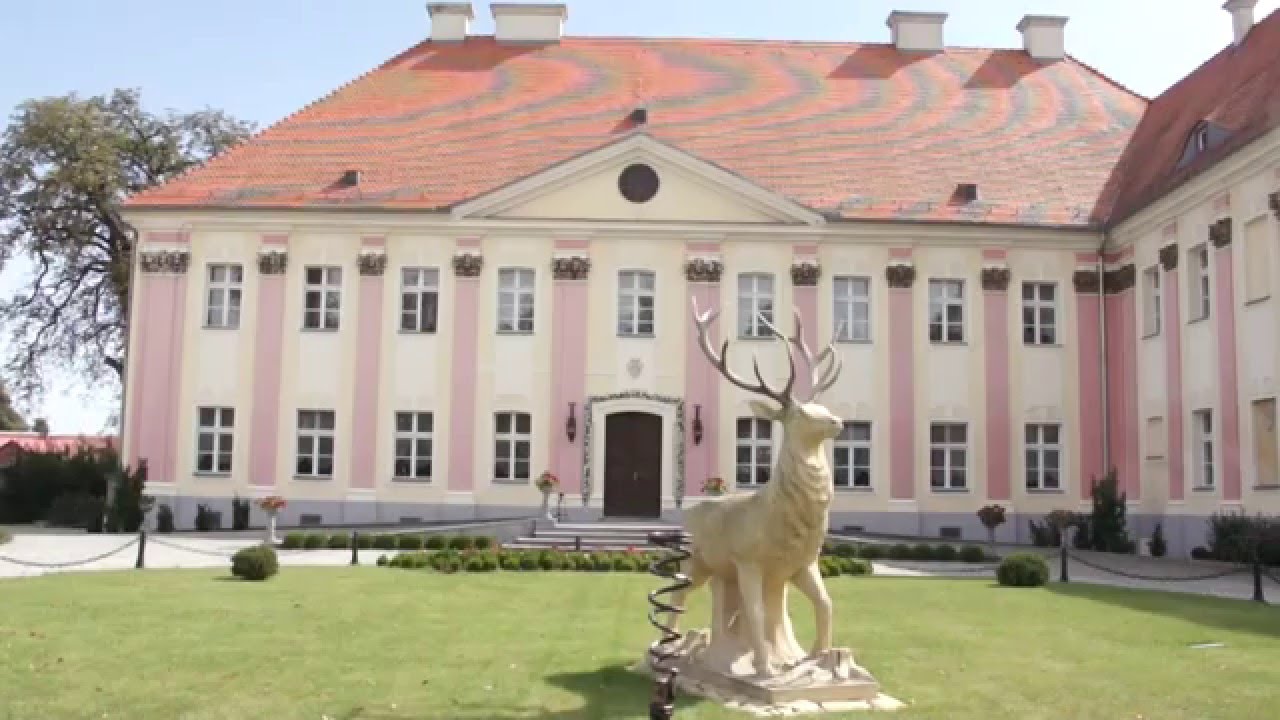 Pałac Trzebosz - o pałacu