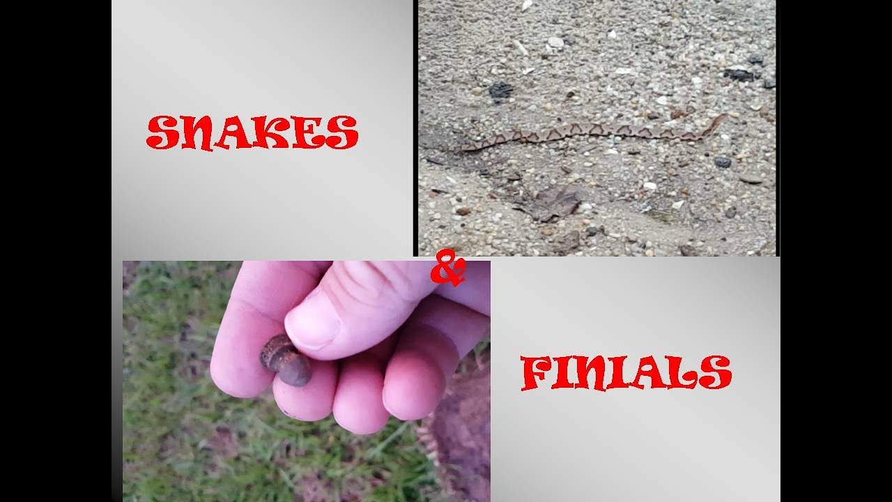 Snakes, Finials and a Great Seal US Army Button