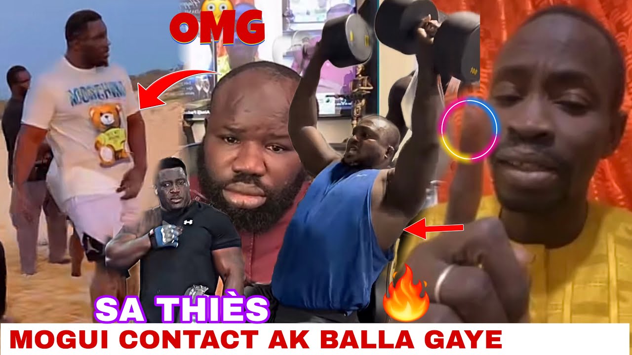 Modou lô limou ma wax😱Mbaye kouthia Sa Thiès combat bi diaral nako‼️Fadam da waroul si Sa Thiès 