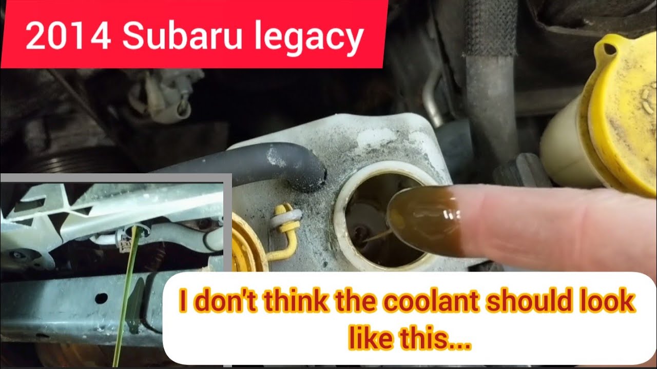 2014 Subaru Legacy 2.5 FB25 oil in the coolant.