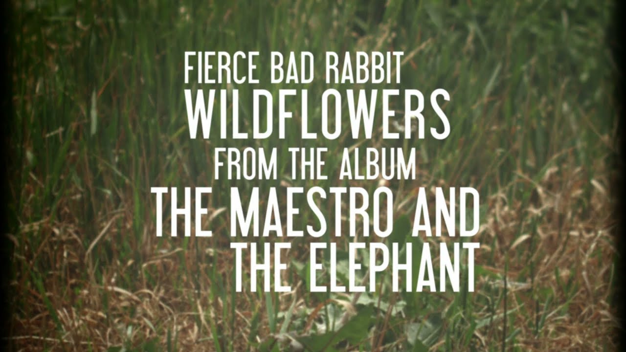 Fierce Bad Rabbit - 