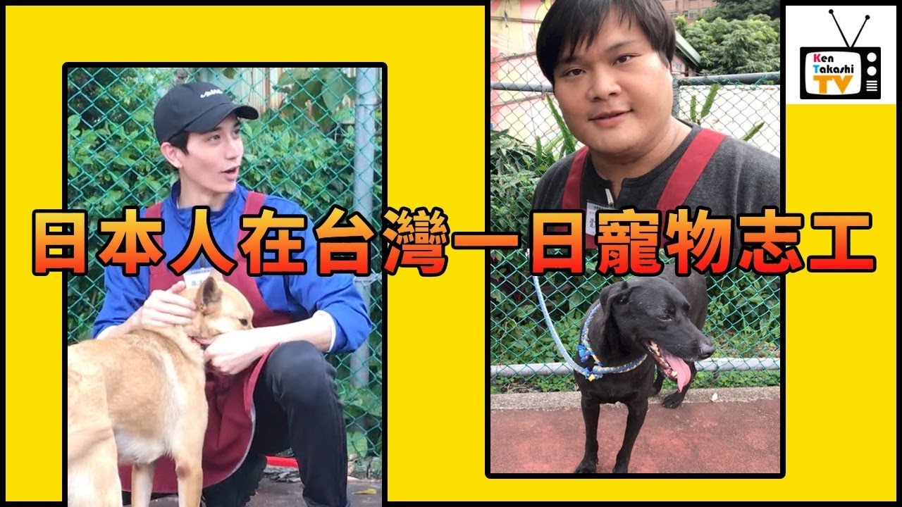 日本人「一日寵物志工」in 板橋動物之家，請領養代替購買！