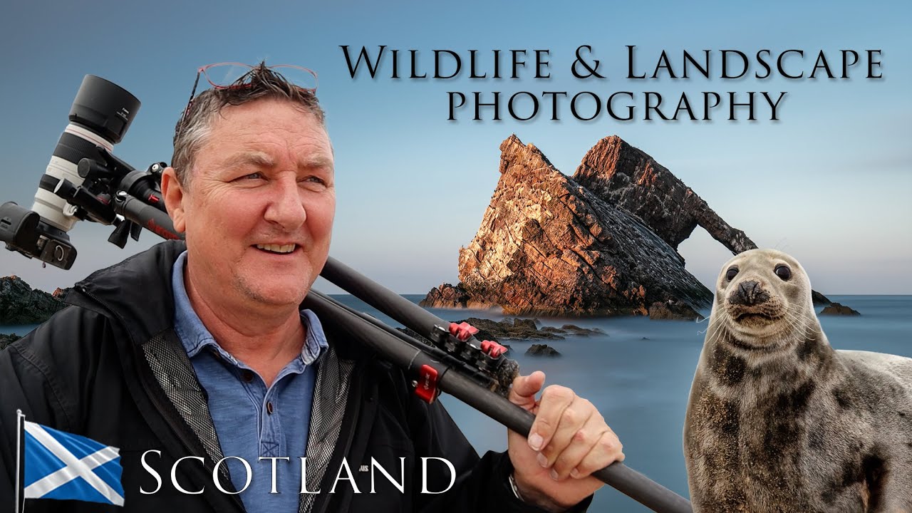 Wildlife and Landscape Photography - Bow Fiddle Rock