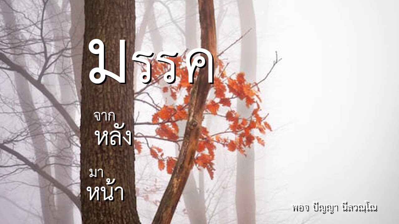 มรรค