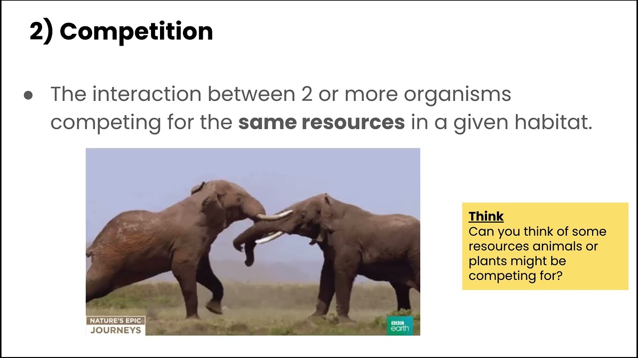 Ecosystem Interactions