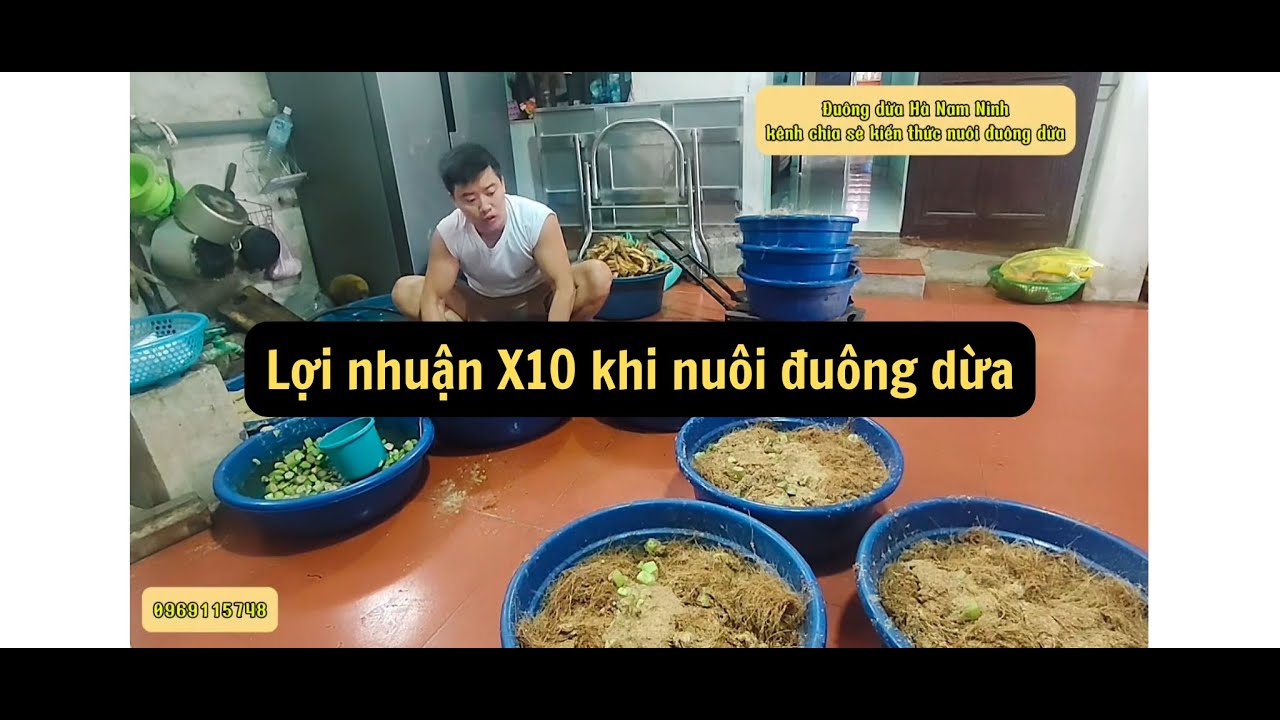 Lợi nhuận X10 khi nuôi đuông dừa, 30k thức ăn thu về 300k thương phẩm, mô hình kinh tế mới