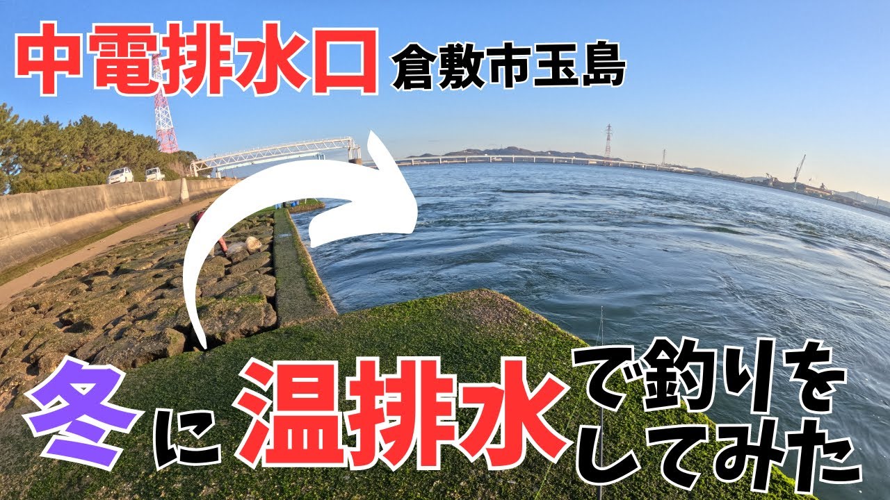 【倉敷市/中電排水口】真冬に温排水で釣りをしたら！？