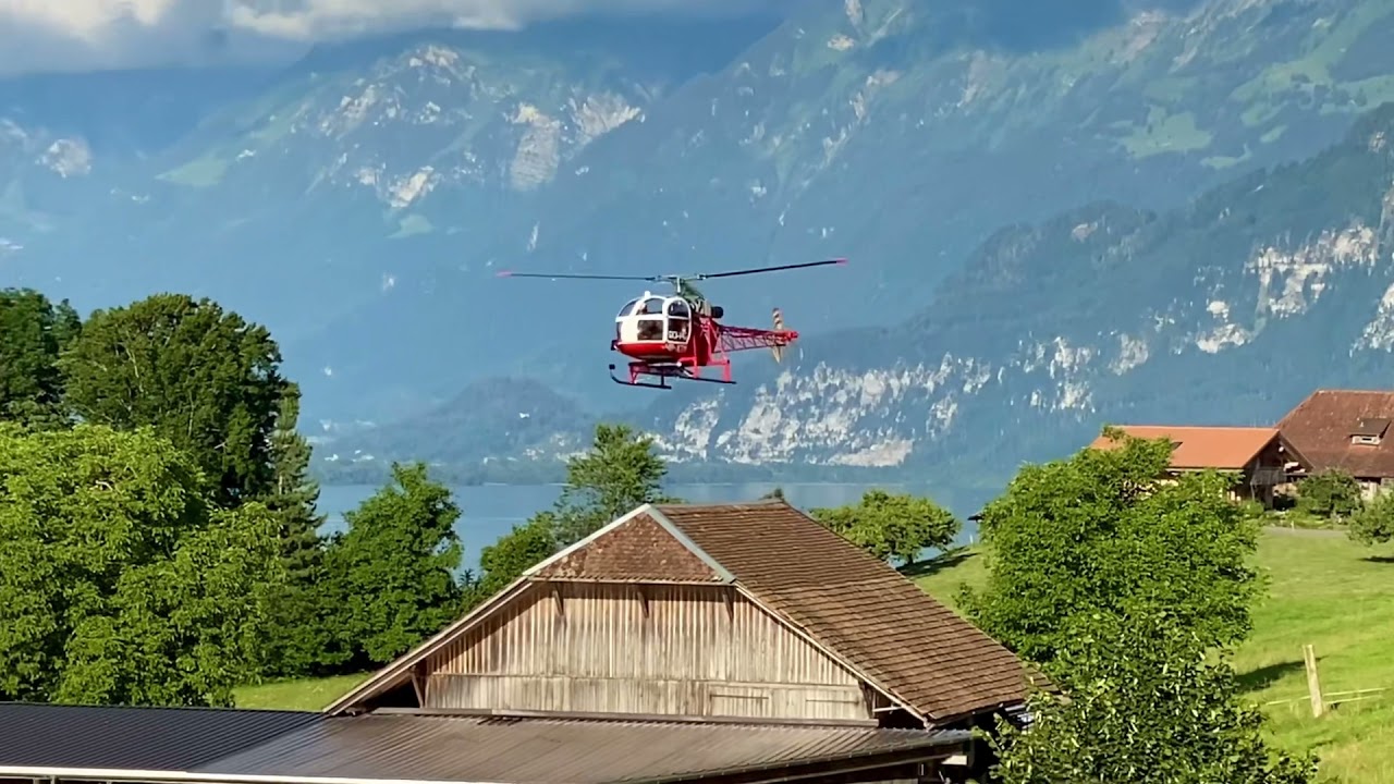 Vario Lama mit Trex 700 Mechanik