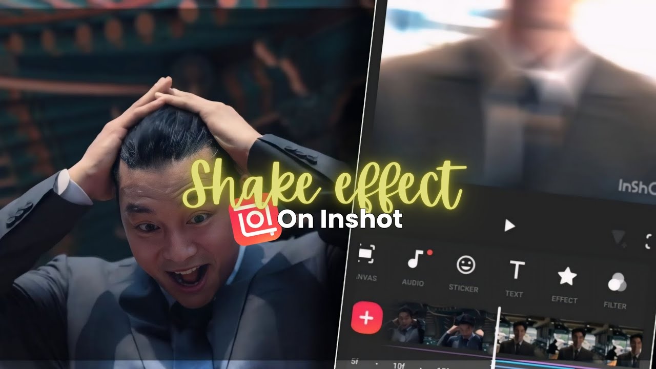 Shake effect on inshot