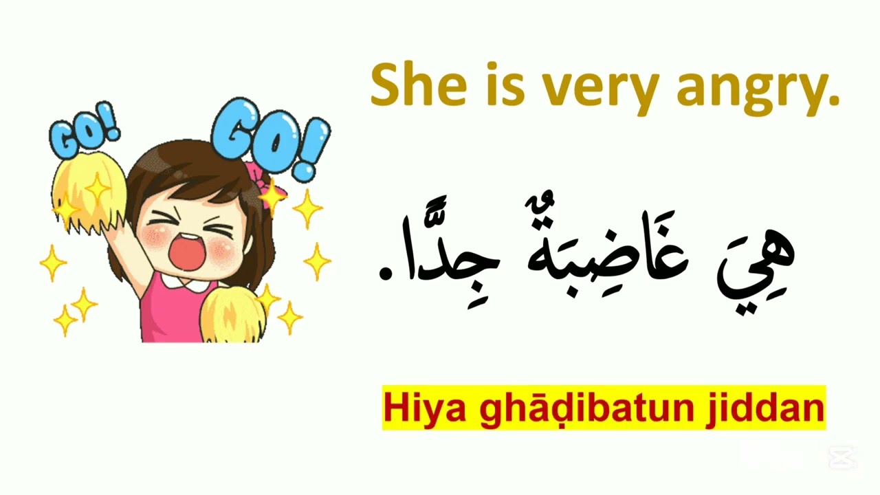 Speak Arabic Fluently: 20+ Sentences with Translation & Pronunciation