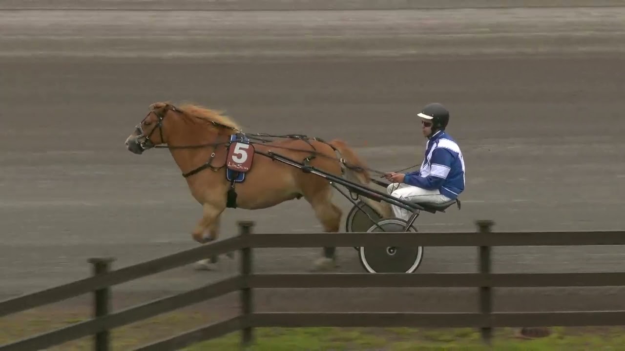 Ponnytrav Lopp 12 - 2024-07-06
