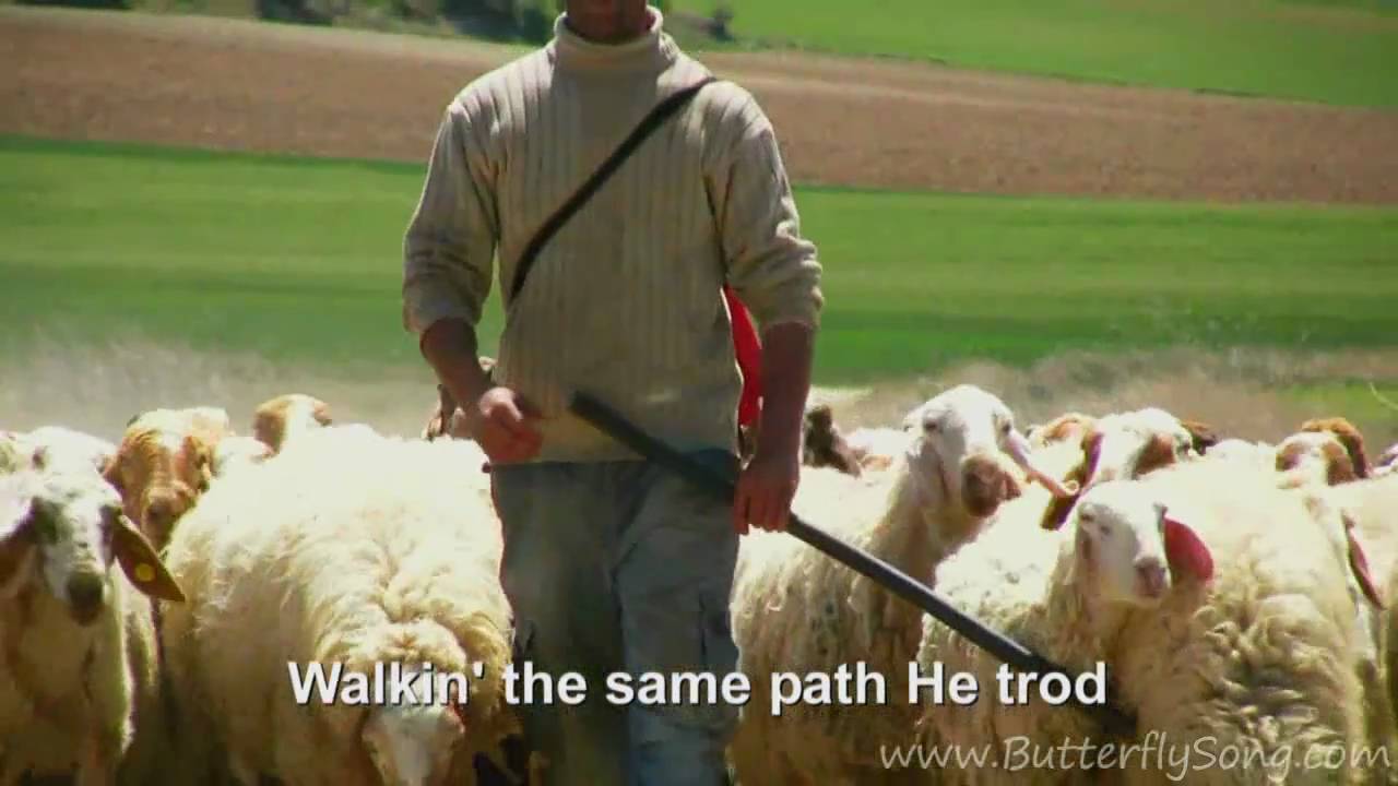 I Just Wanna Be a Sheep