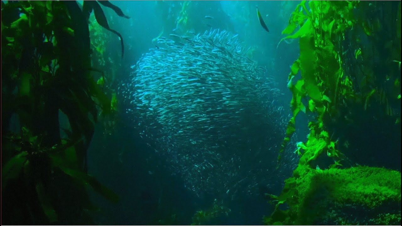 Underland &brvbar; Eurorack ambient session