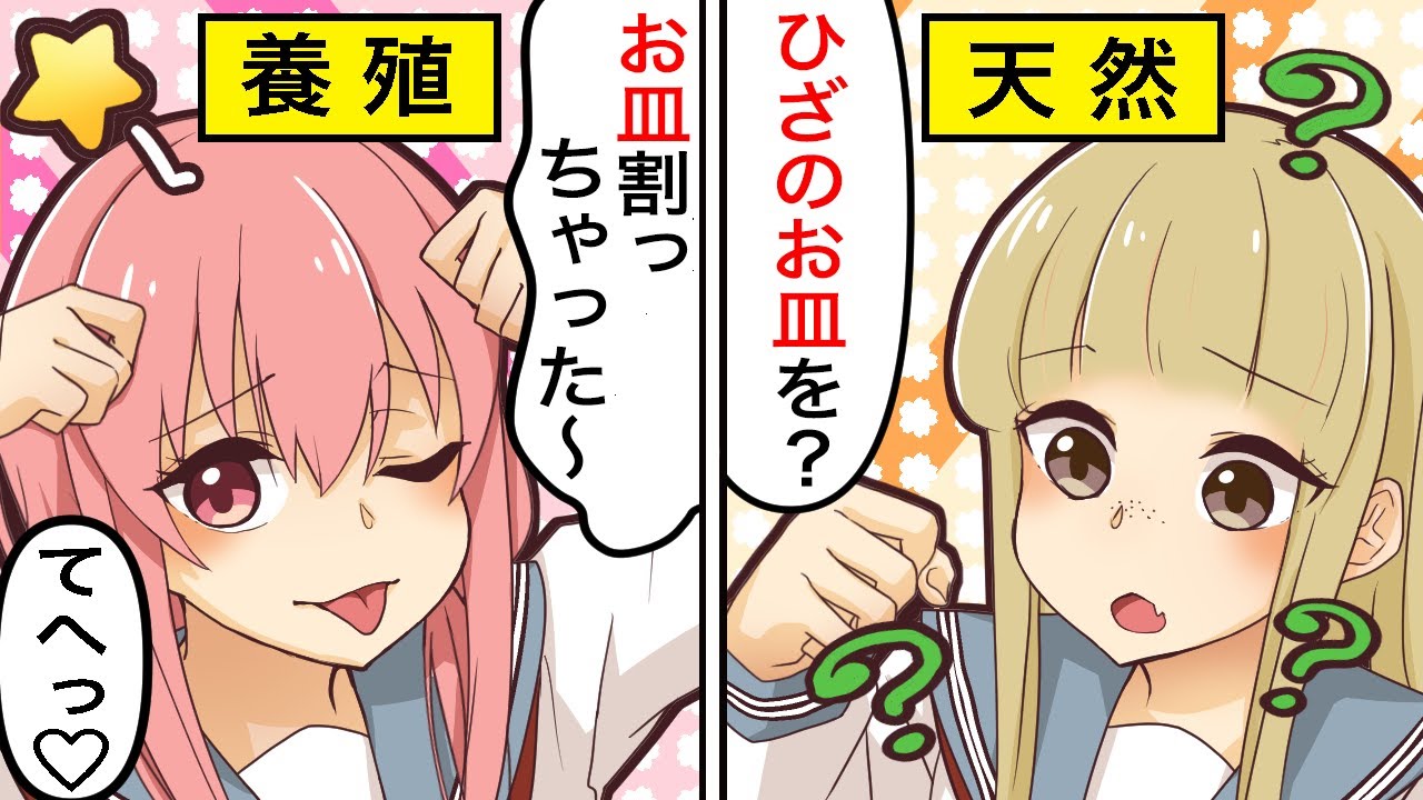 【アニメ】偽物の天然女と本物の天然女が料理教室でぶつかりあった結果…！【漫画/マンガ動画】