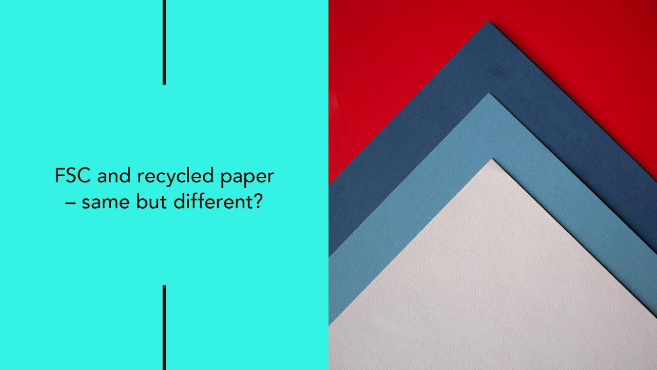 De-carbonising our business and creating sustainable solutions for membership organisations