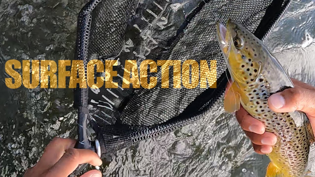 Eastern Sierra Fly Fishing Late Spring - Free Form Fly Fisher