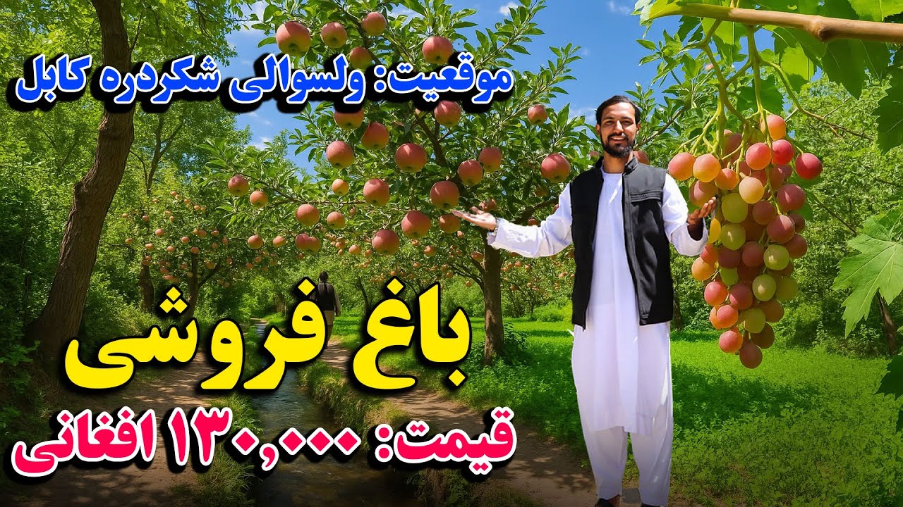 باغ فروشی که بیشتر از 10 نوع میوه دارد | موقعیت: ولسوالی شکر دره کابل / قیمت: 130.000 افغانی